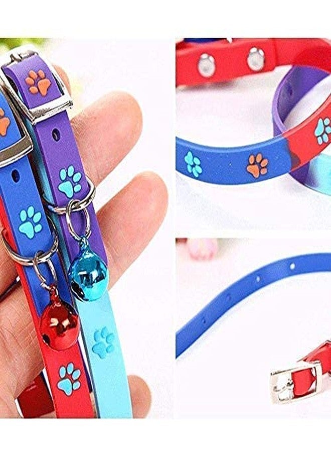 D&C PAWS طوق ولادة D&C PAWS مع جرس للقطط الصغيرة/النموس/الأرانب/الجراء، صغير جدًا (قد تختلف الألوان) (عبوة من قطعة واحدة) - Image 4